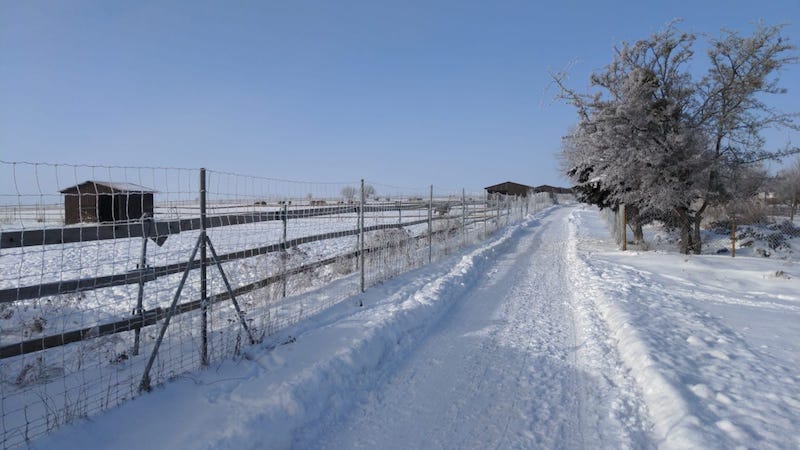 Abbildung schneebedeckte Straußenfarm